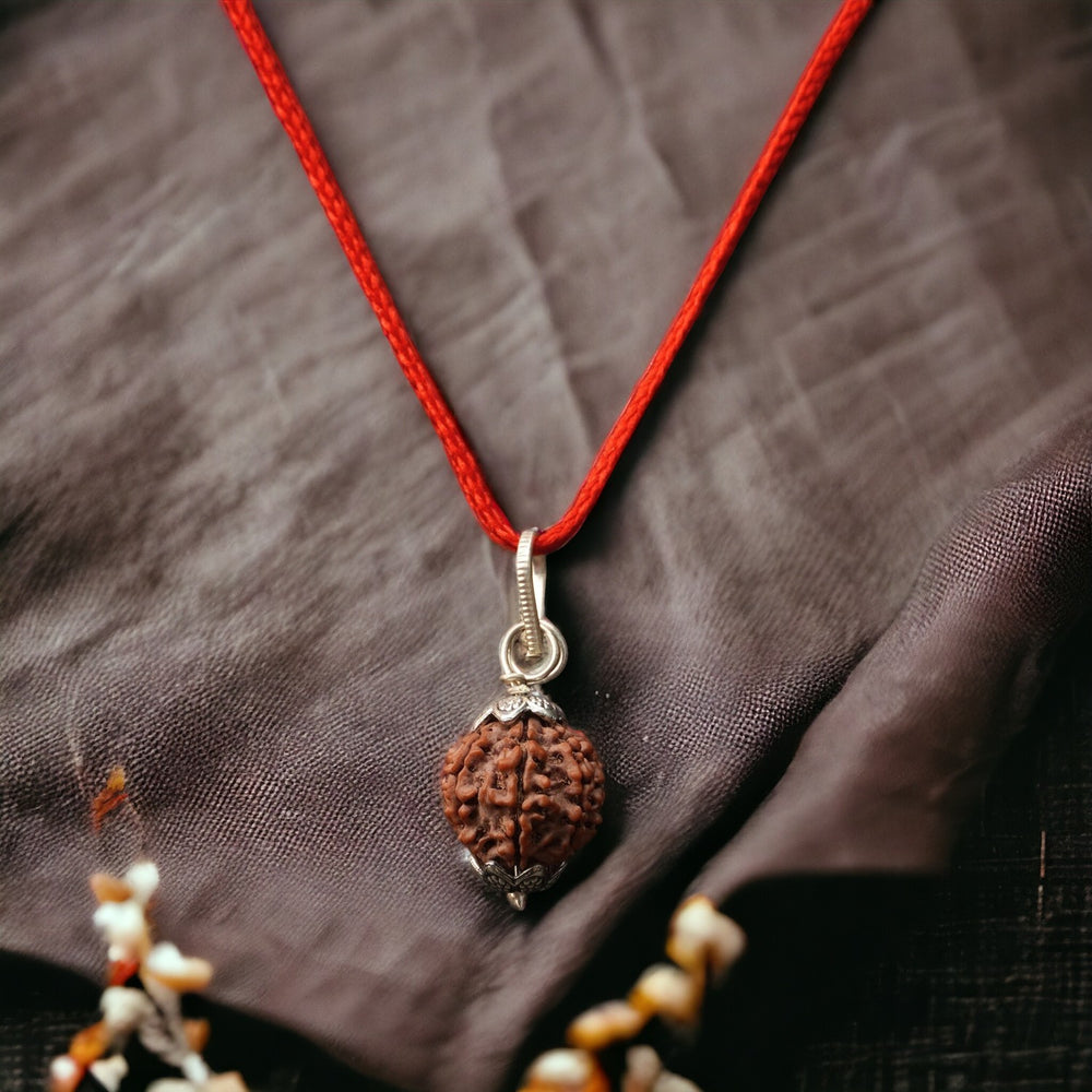 Original Authentic Nepal Rudraksha Certified + Special Gift