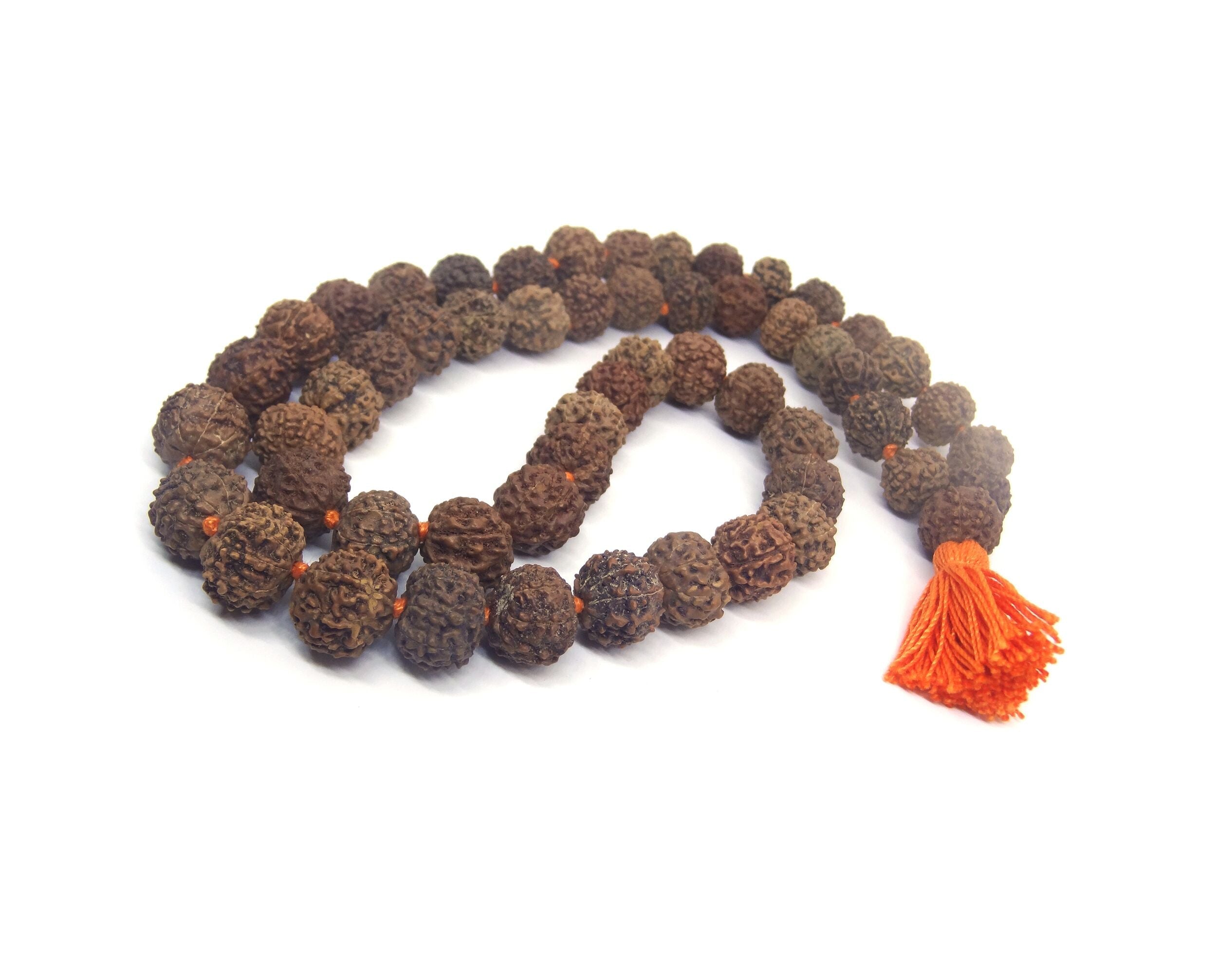 8 Mukhi Mala / Kantha Beads Nepali Lab Certified + Special Gift