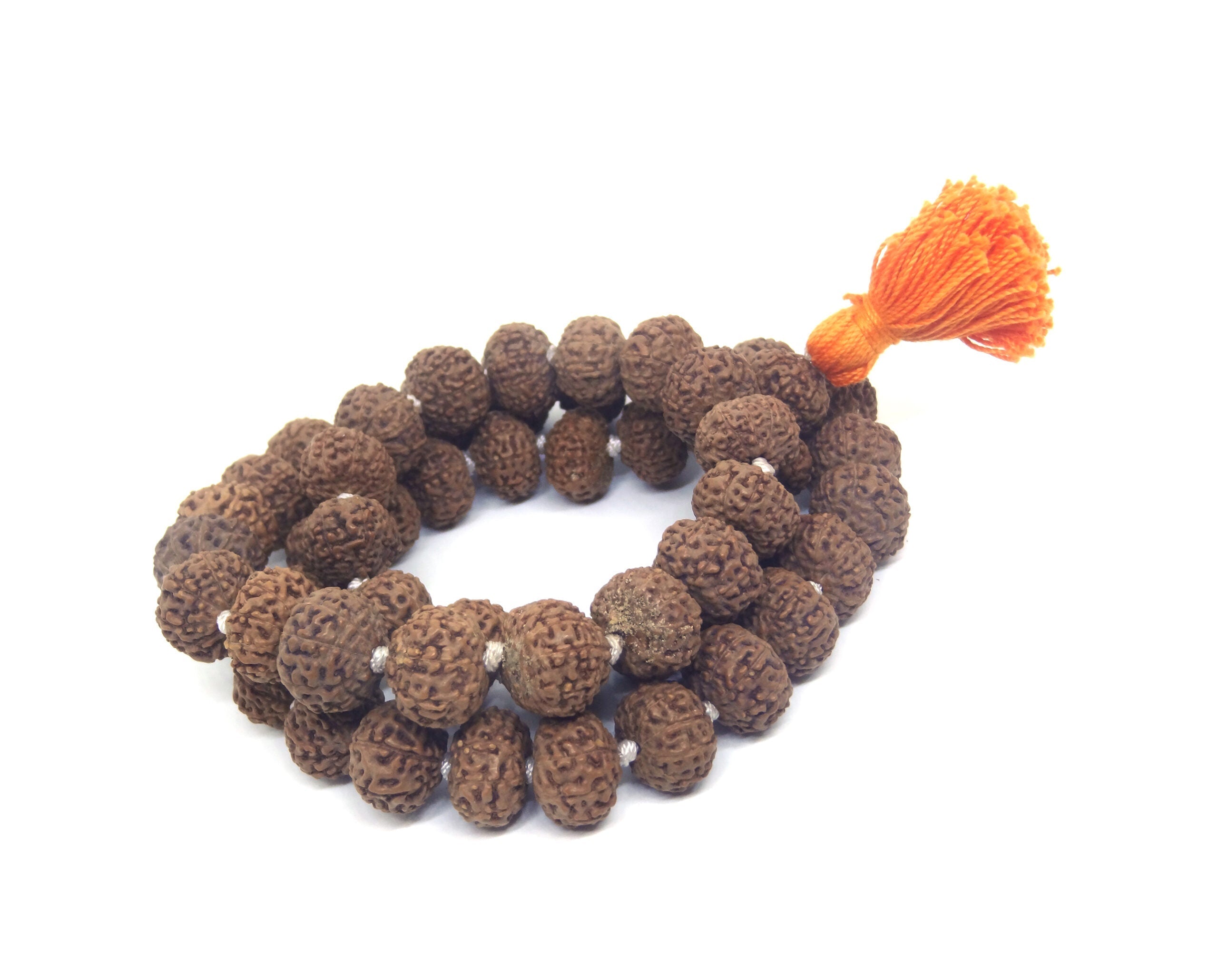 8 Mukhi Mala / Kantha Beads Nepali Lab Certified + Special Gift