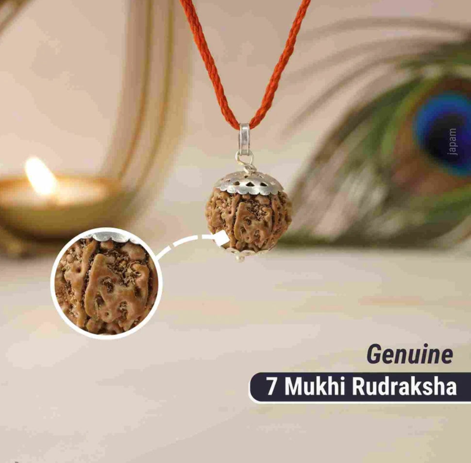 Original Authentic Nepal Rudraksha Certified + Special Gift