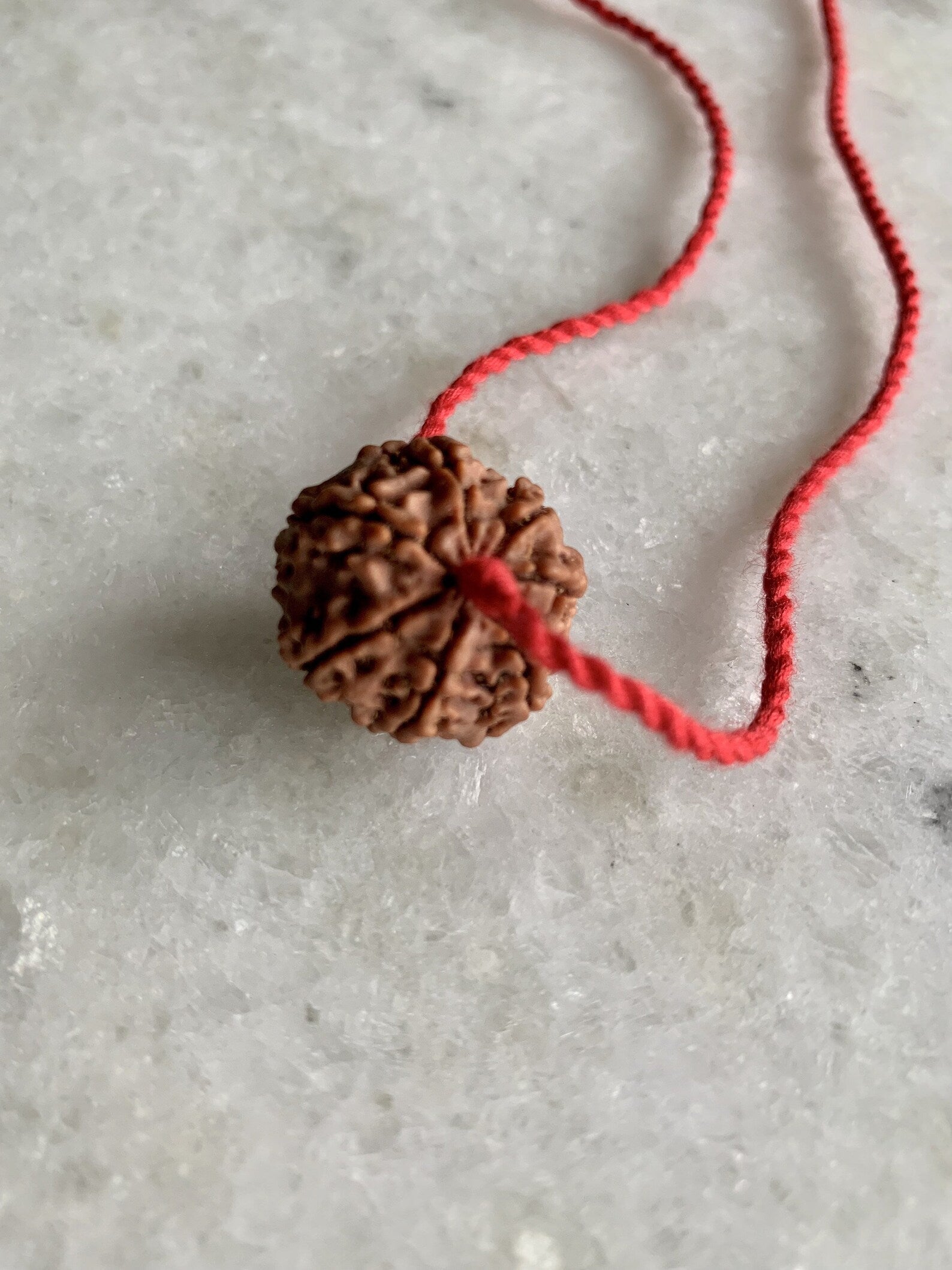 Original Authentic Nepal Rudraksha Certified + Special Gift