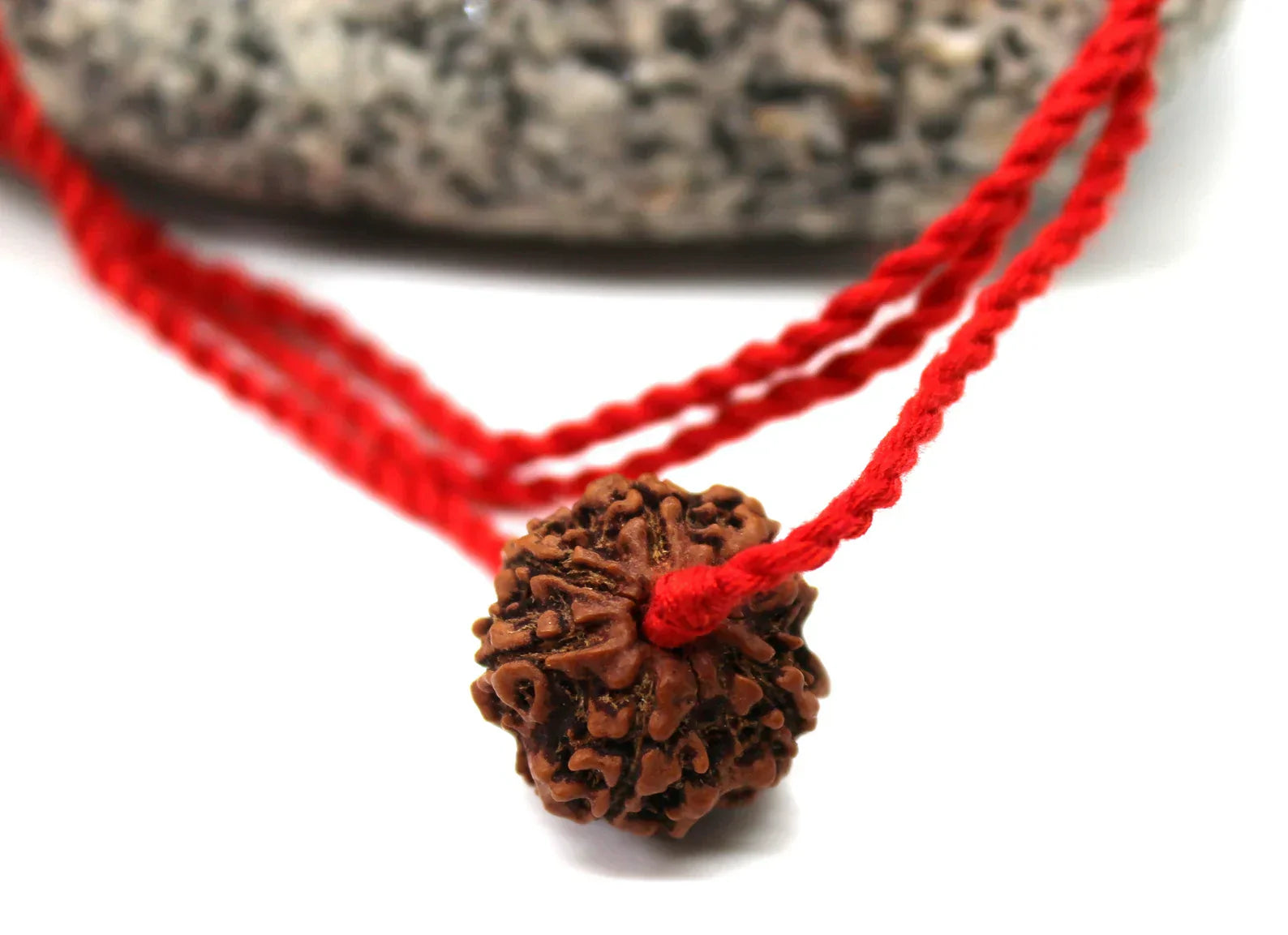 6 Mukhi Rudraksha + Special Gift , big Rudraksh choker, Protection jewellery, Hindu necklace