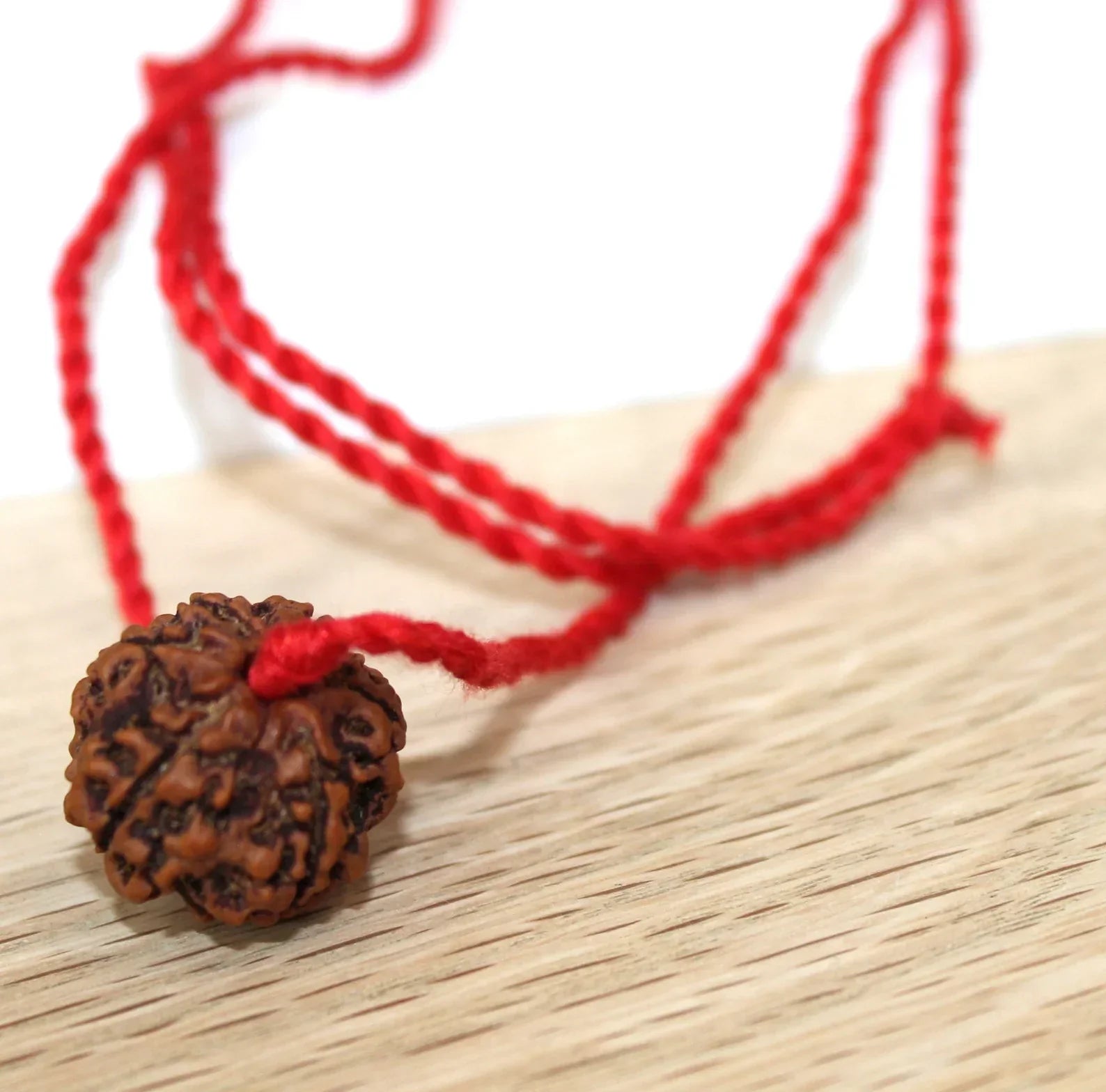 6 Mukhi Rudraksha + Special Gift , big Rudraksh choker, Protection jewellery, Hindu necklace