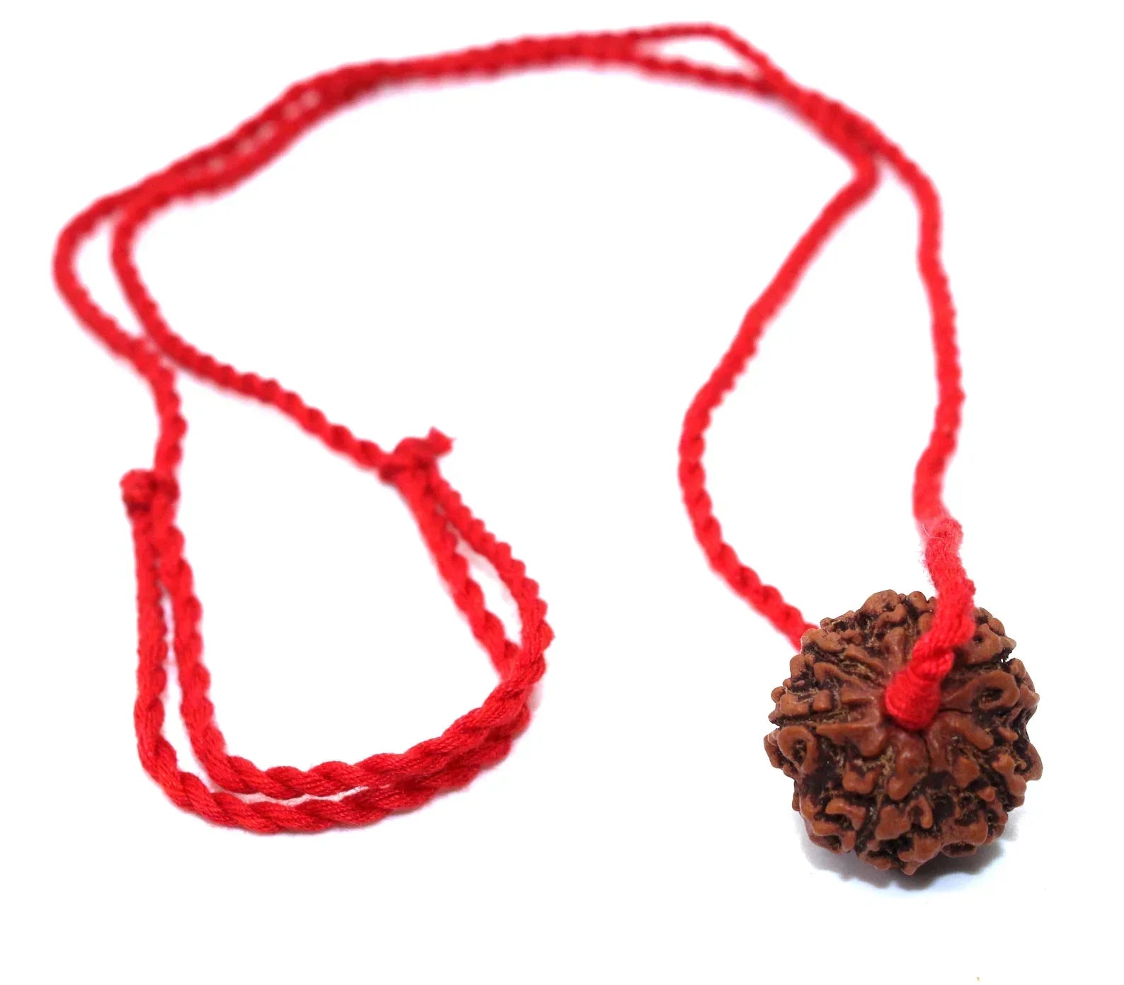 6 Mukhi Rudraksha + Special Gift , big Rudraksh choker, Protection jewellery, Hindu necklace