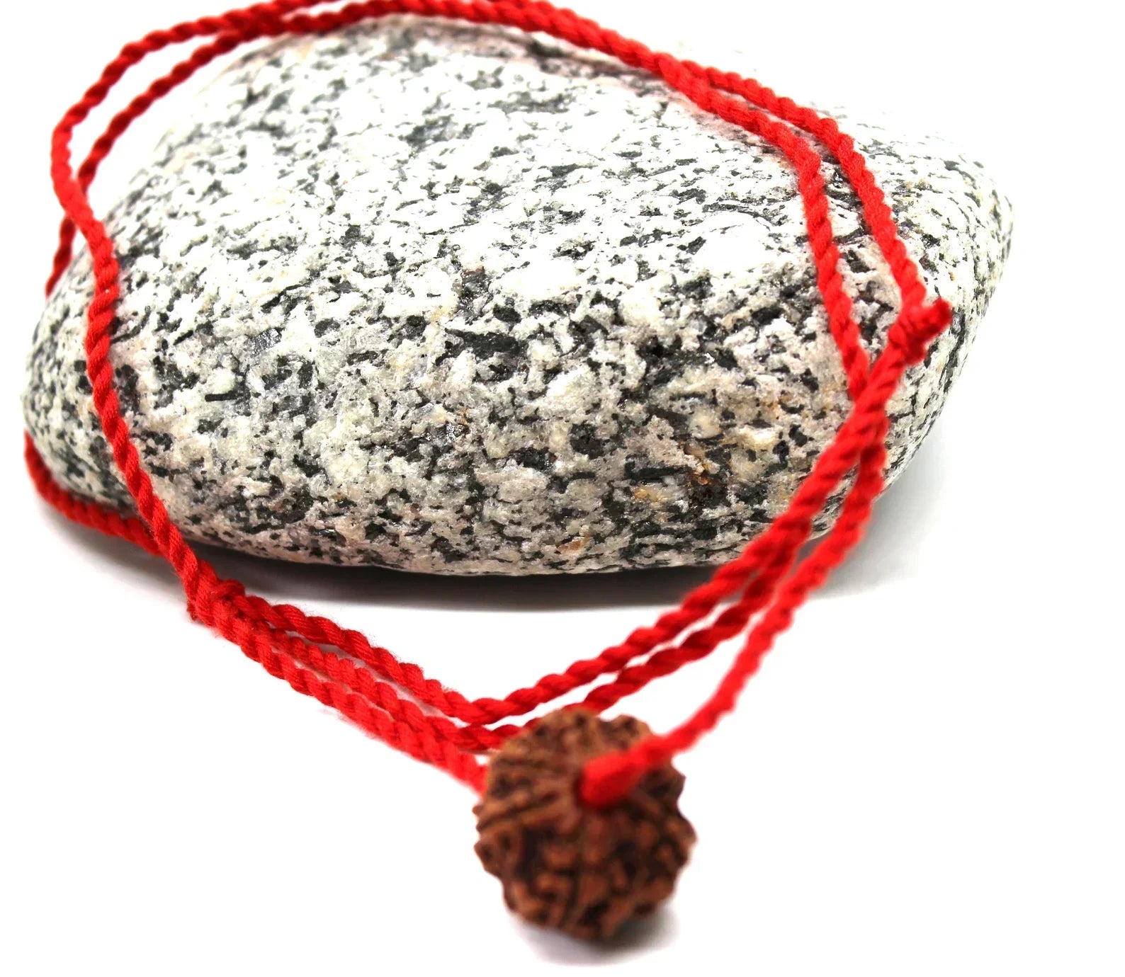 6 Mukhi Rudraksha + Special Gift , big Rudraksh choker, Protection jewellery, Hindu necklace