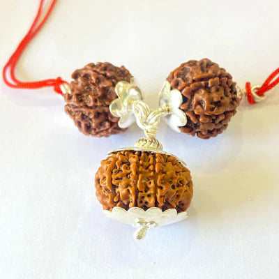 7,8 & 13 Mukhi Rudraksha Combination