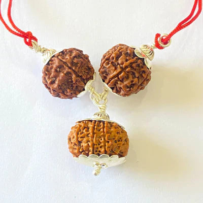 7,8 & 13 Mukhi Rudraksha Combination