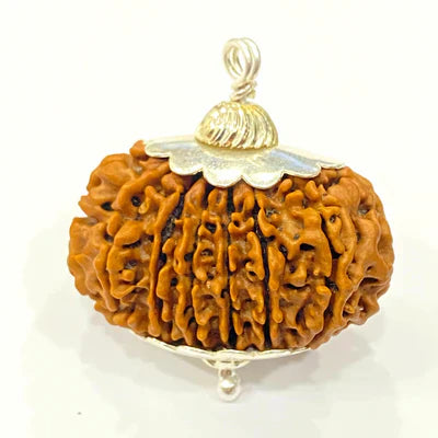 Natural 15 Mukhi Rudraksha (Nepal Origin- 30 mm apx) + Special Gift