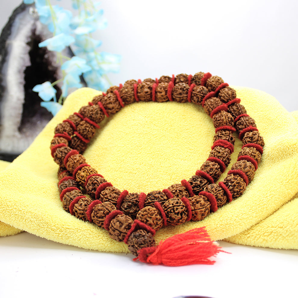 5 Mukhi Mala 16-20mm 54 plus 1 bead Nepal Rudraksha + Special Gift