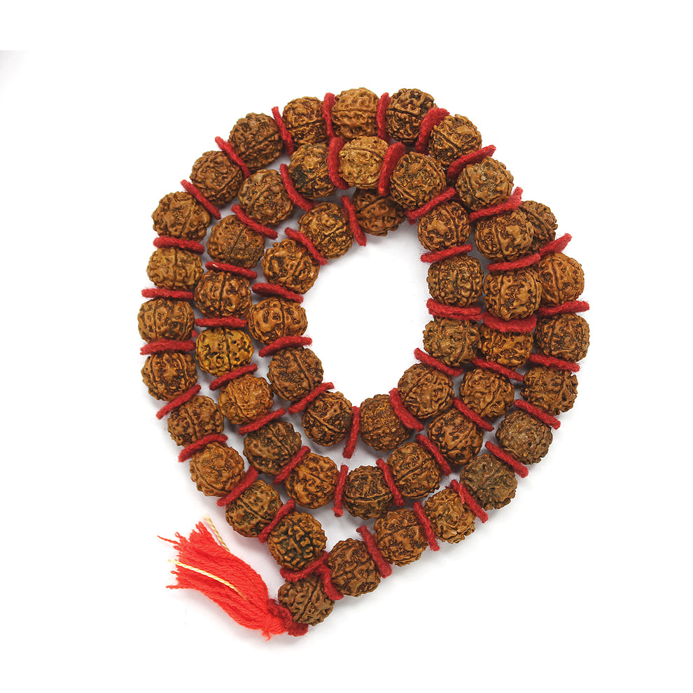 5 Mukhi Mala 16-20mm 54 plus 1 bead Nepal Rudraksha + Special Gift