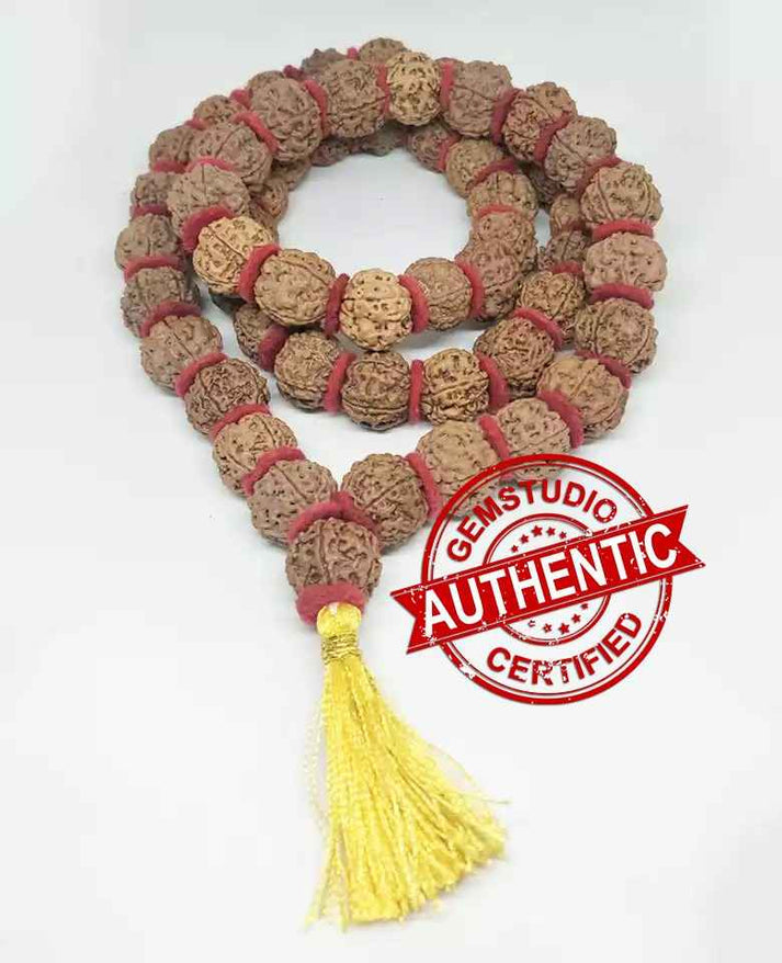 5 Mukhi Mala 16-20mm 54 plus 1 bead Nepal Rudraksha + Special Gift