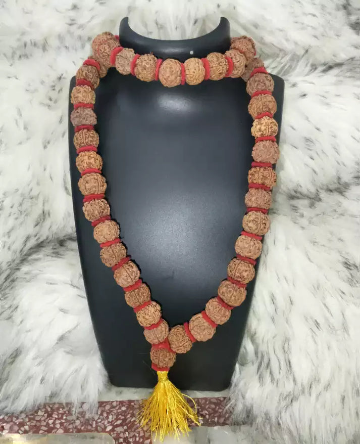 5 Mukhi Mala 16-20mm 54 plus 1 bead Nepal Rudraksha + Special Gift